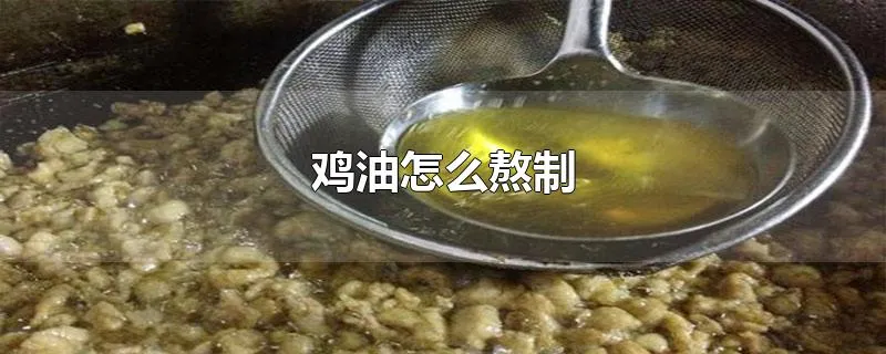 鸡油怎么熬制