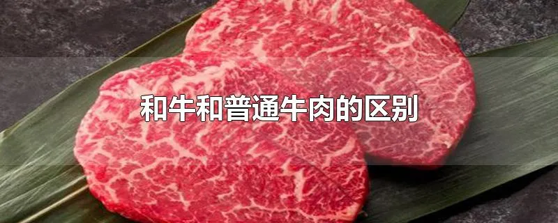 和牛和普通牛肉的区别