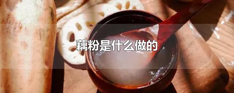 藕粉是什么做的