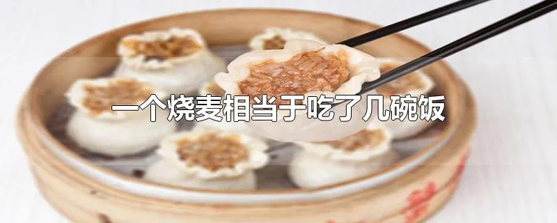 一个烧麦相当于吃了几碗饭