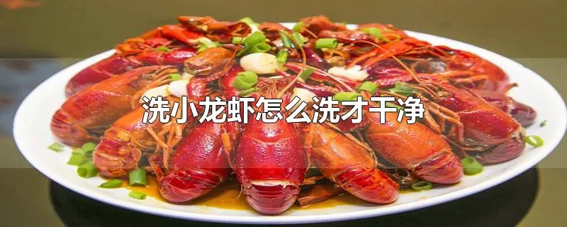 洗小龙虾怎么洗才干净