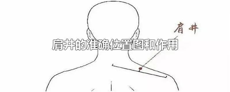 肩井的准确位置图和作用