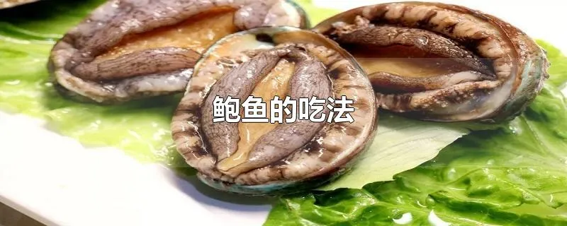 鲍鱼的吃法