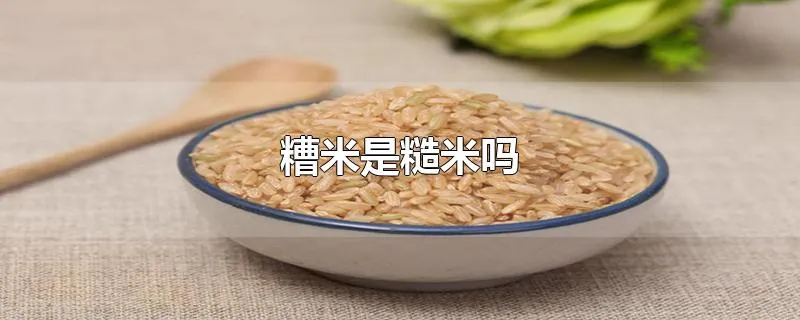 糟米是糙米吗