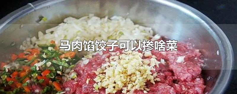 马肉馅饺子可以掺啥菜