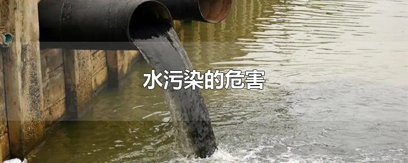 水污染的危害