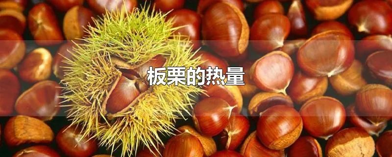 板栗的热量