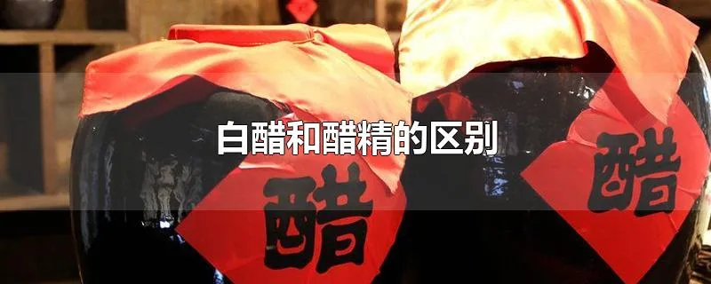 白醋和醋精的区别