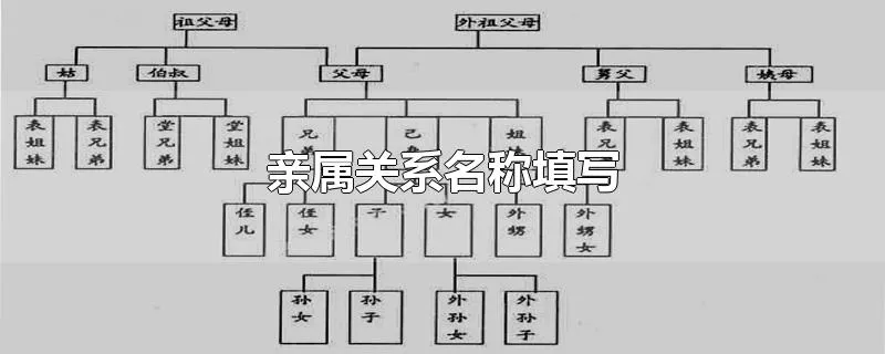 亲属关系名称填写