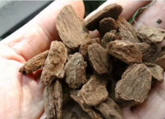 怎样判断松树皮腐熟了，从颜色气味和手感三者辨别