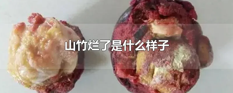 山竹烂了是什么样子