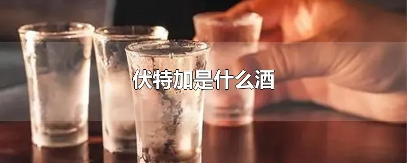 伏特加是什么酒