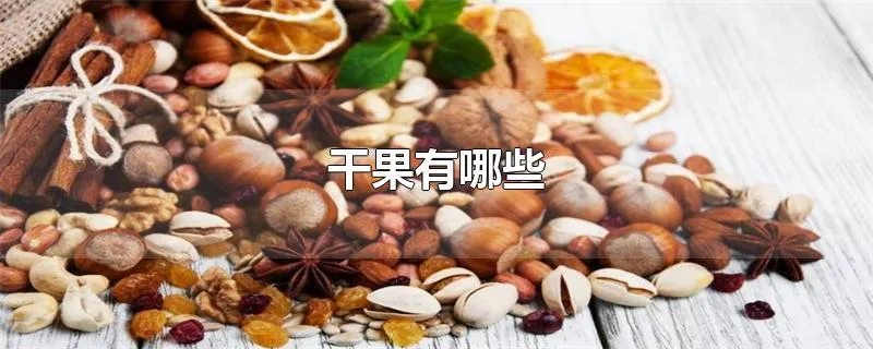 干果有哪些