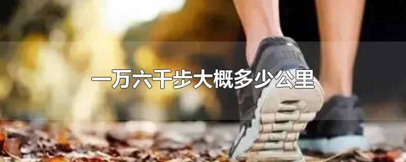 一万六千步大概多少公里