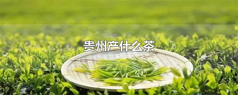 贵州产什么茶