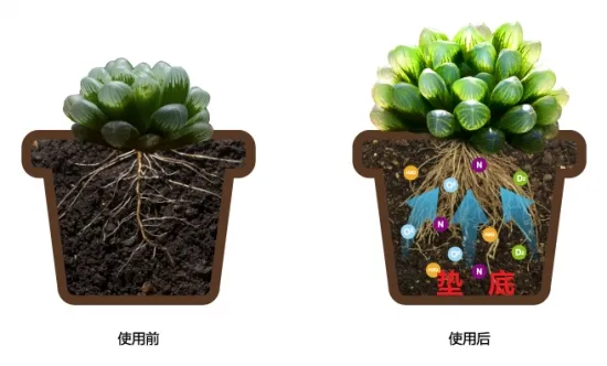 养花技巧：用这些东西垫花盆底可以避免烂根黄叶