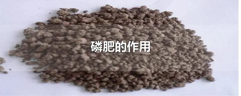 磷肥的作用