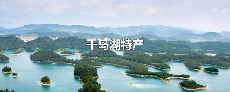 千岛湖特产