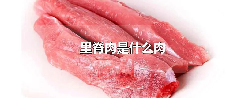 里脊肉是什么肉