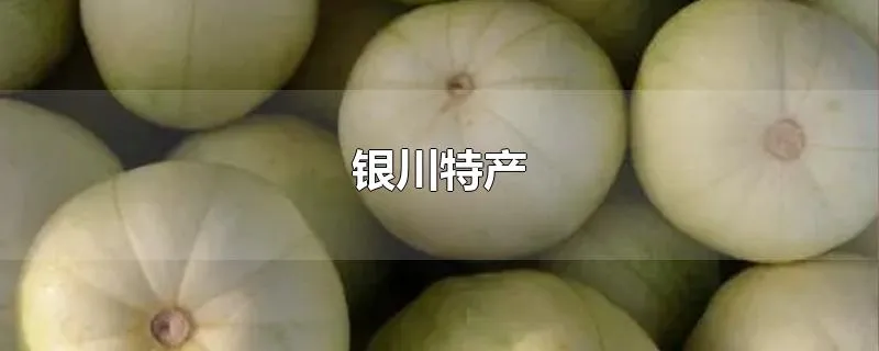 银川特产