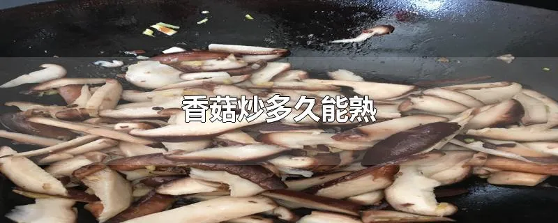 香菇炒多久能熟