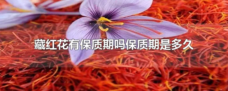 藏红花有保质期吗保质期是多久