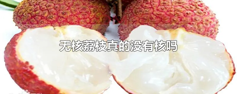 无核荔枝真的没有核吗