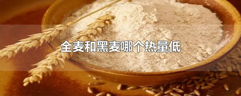全麦和黑麦哪个热量低