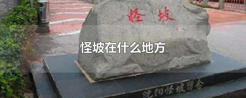 怪坡在什么地方