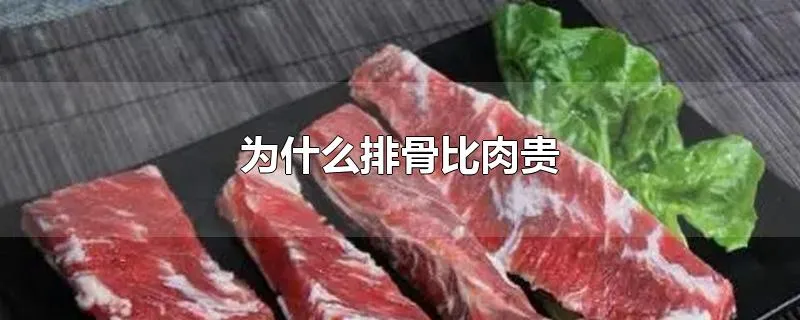 为什么排骨比肉贵