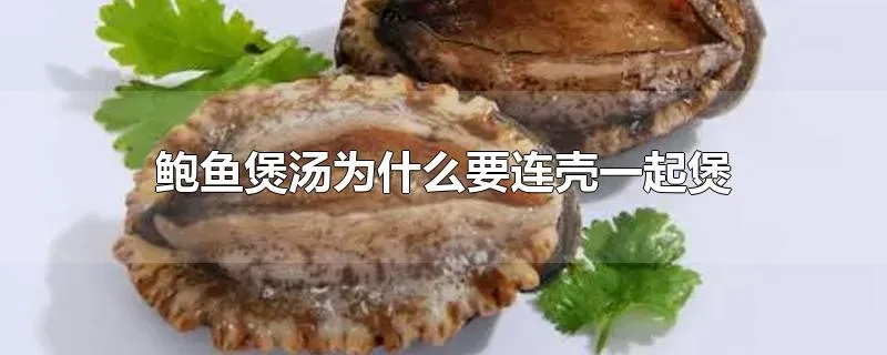 鲍鱼煲汤为什么要连壳一起煲