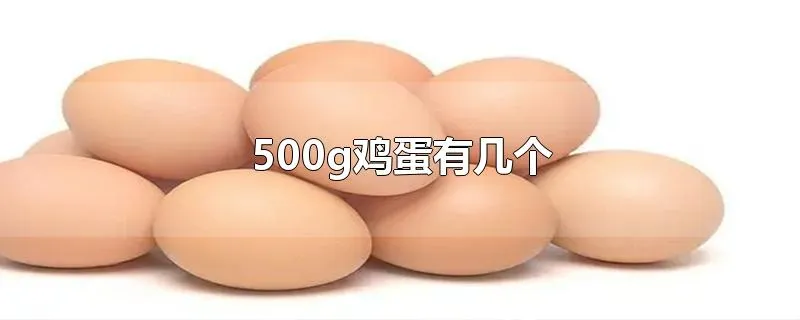500g鸡蛋有几个