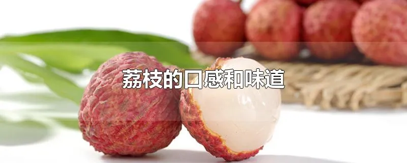 荔枝的口感和味道