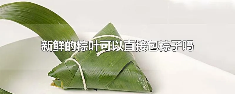 新鲜的粽叶可以直接包粽子吗