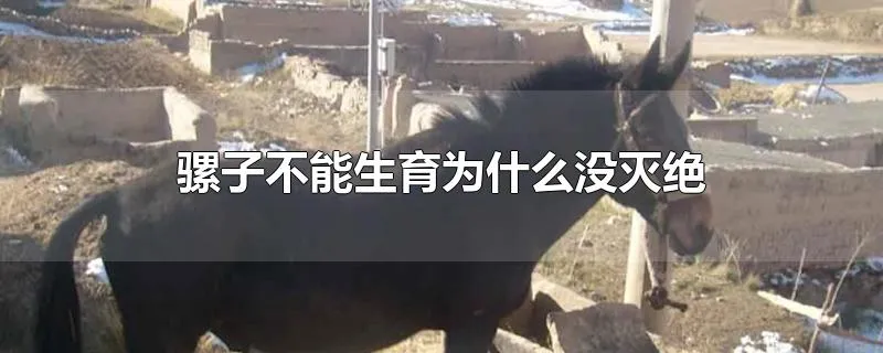 骡子不能生育为什么没灭绝