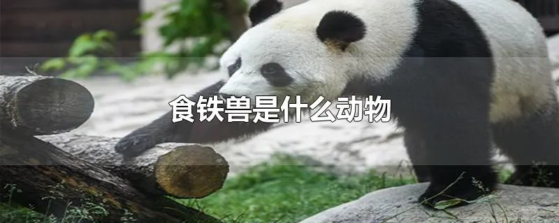 食铁兽是什么动物