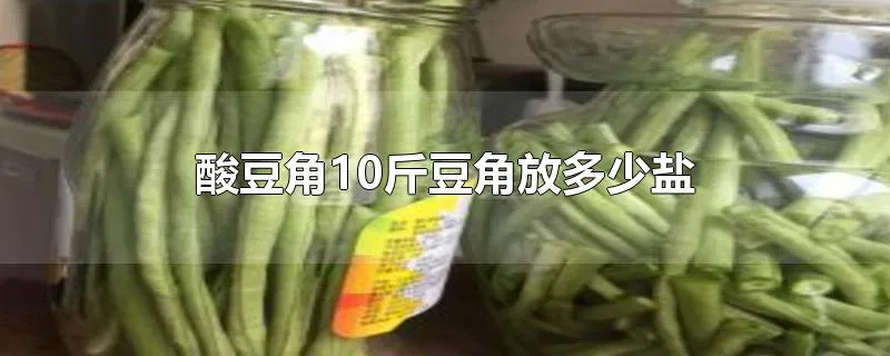 酸豆角10斤豆角放多少盐