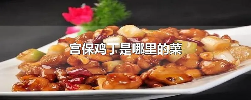 宫保鸡丁是哪里的菜