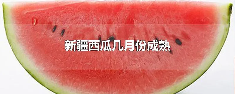 新疆西瓜几月份成熟