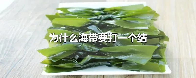 为什么海带要打一个结