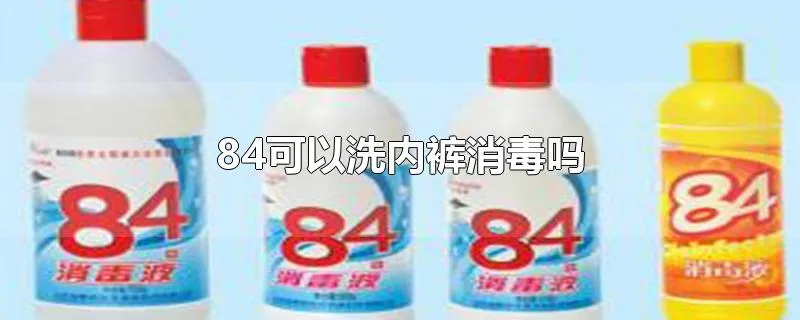 84可以洗内裤消毒吗