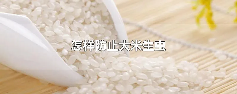 怎样防止大米生虫