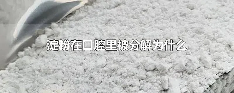 淀粉在口腔里被分解为什么