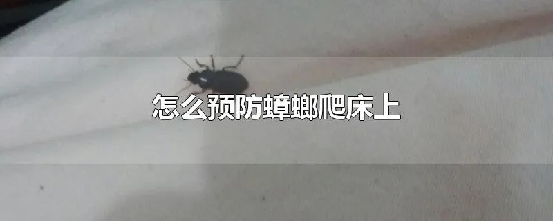 怎么预防蟑螂爬床上