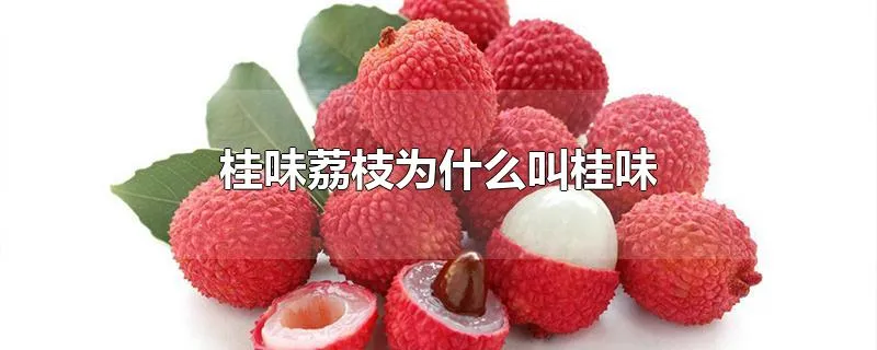 桂味荔枝为什么叫桂味