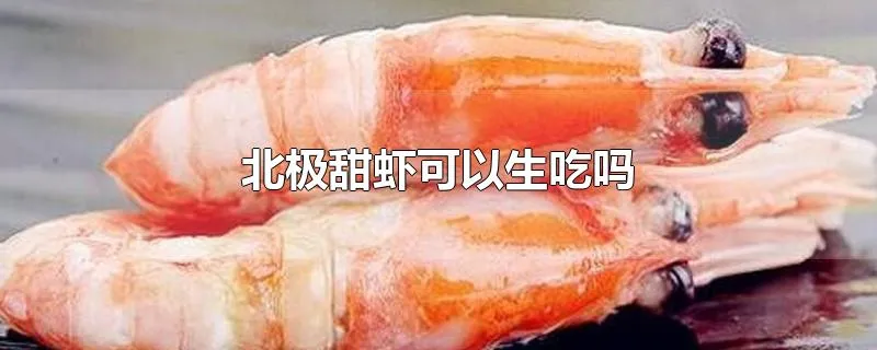 北极甜虾可以生吃吗