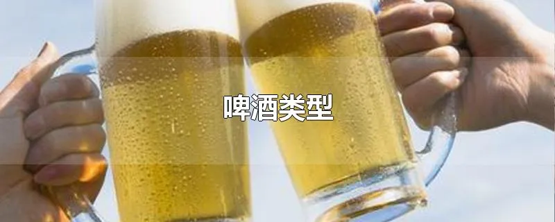 啤酒类型