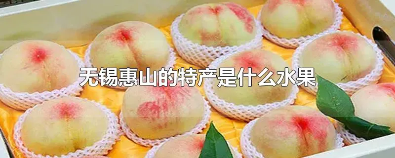 无锡惠山的特产是什么水果