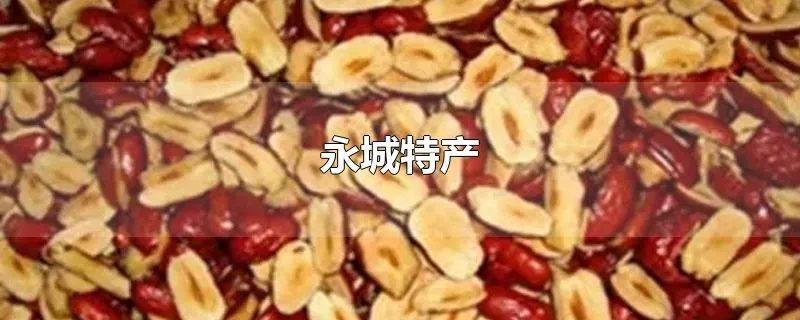永城特产