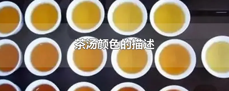 茶汤颜色的描述